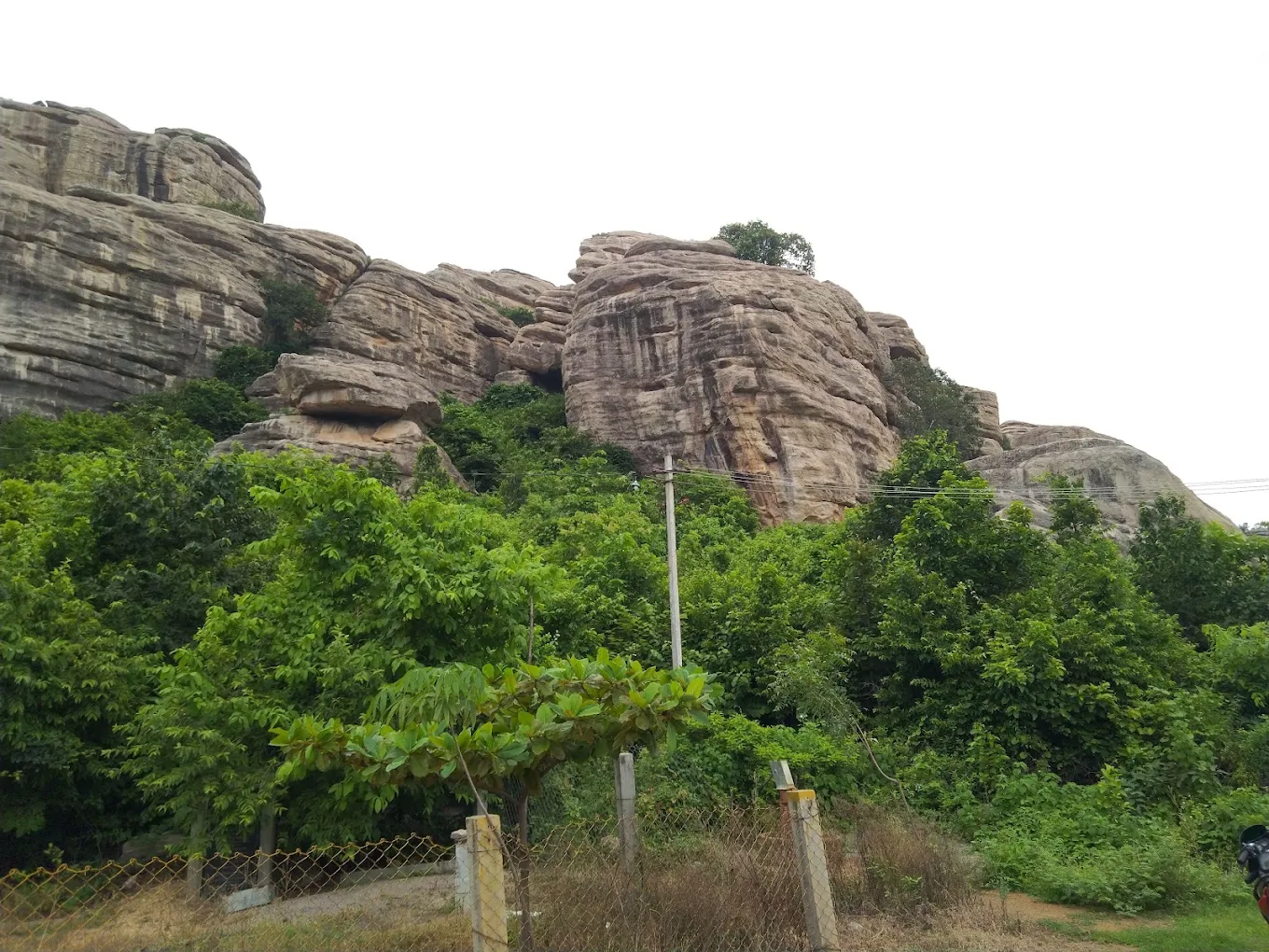 Pandavula Guhalu